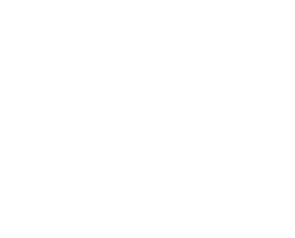 Level 4 Collective